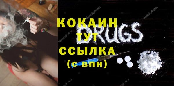 крисы Заводоуковск