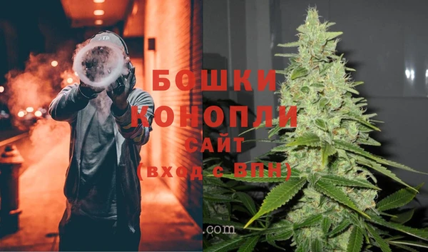 крисы Заводоуковск