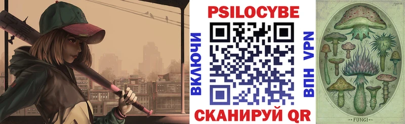 OMG ссылка Зуевка Галлюциногенные грибы прущие грибы купить закладку